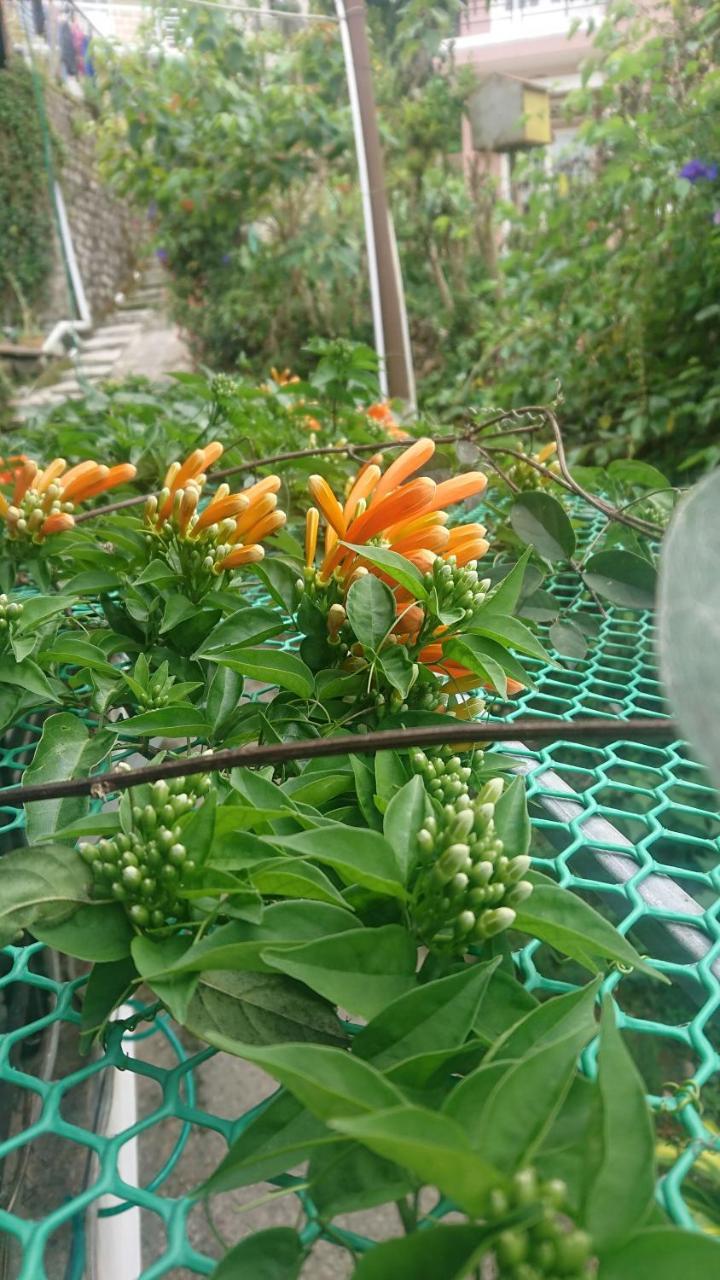 Dalat Inn Homestay Extérieur photo