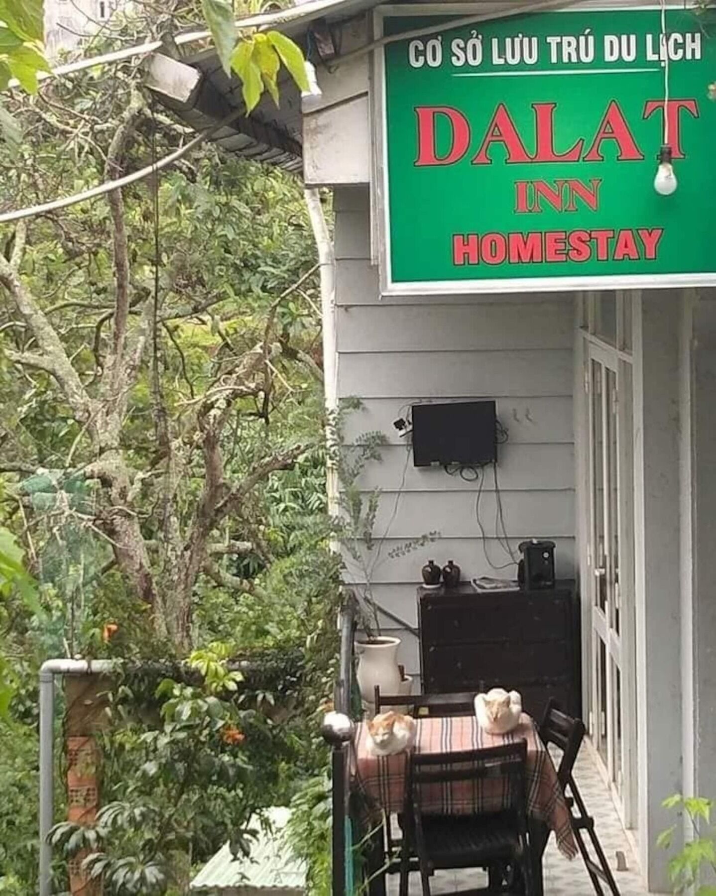 Dalat Inn Homestay Extérieur photo
